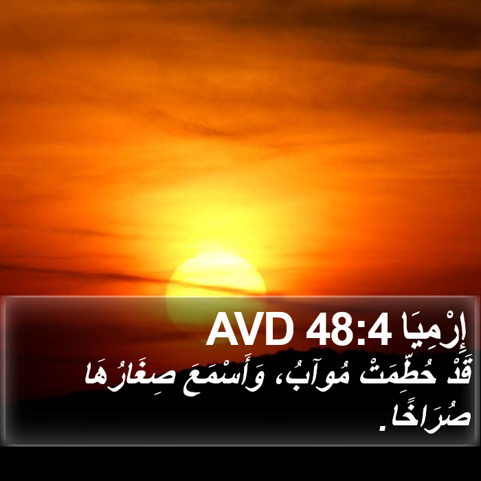 إِرْمِيَا 48:4 AVD Bible Study