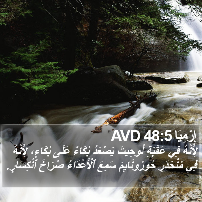 إِرْمِيَا 48:5 AVD Bible Study