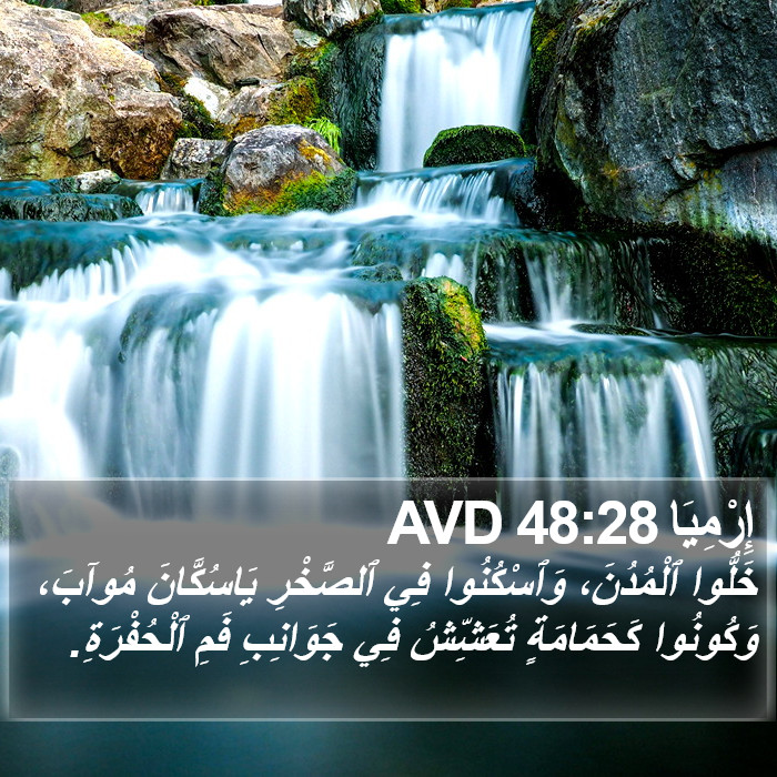 إِرْمِيَا 48:28 AVD Bible Study