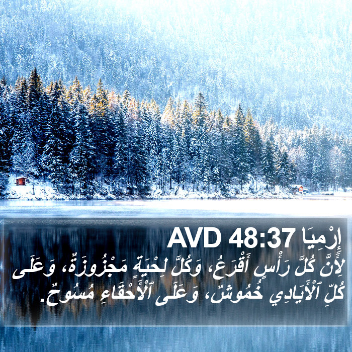 إِرْمِيَا 48:37 AVD Bible Study
