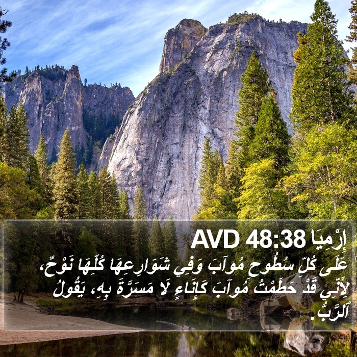 إِرْمِيَا 48:38 AVD Bible Study