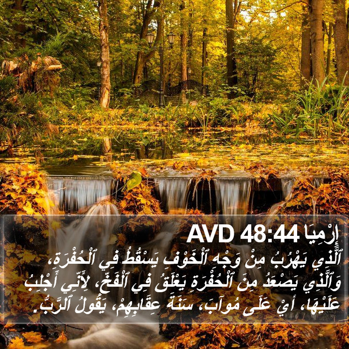 إِرْمِيَا 48:44 AVD Bible Study