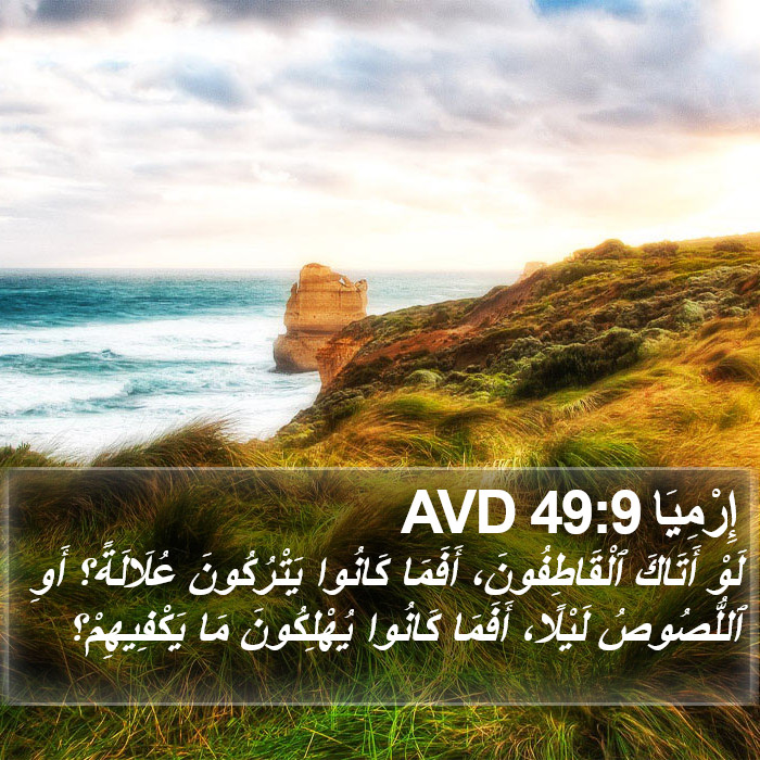 إِرْمِيَا 49:9 AVD Bible Study