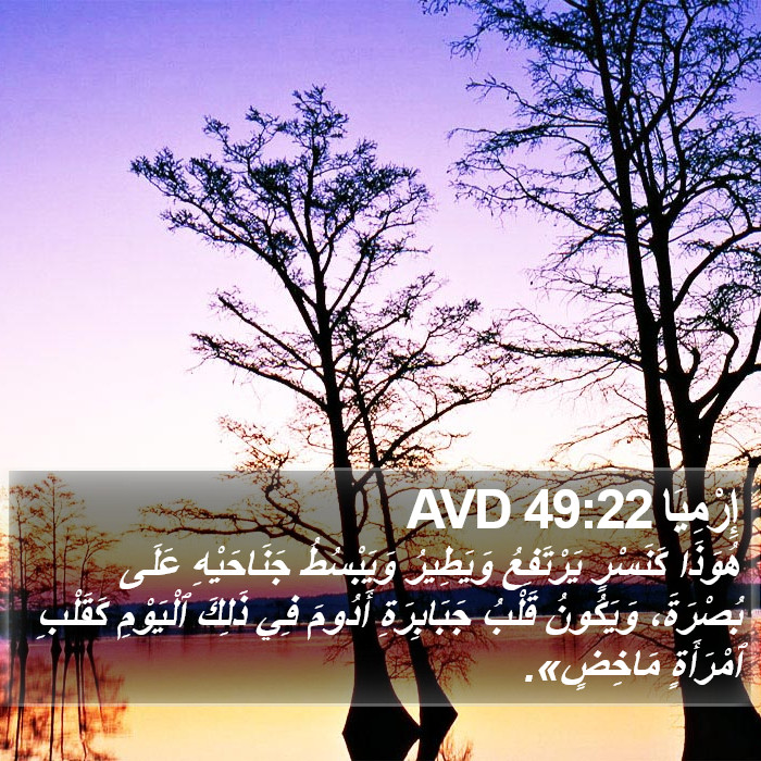 إِرْمِيَا 49:22 AVD Bible Study