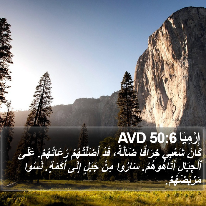 إِرْمِيَا 50:6 AVD Bible Study