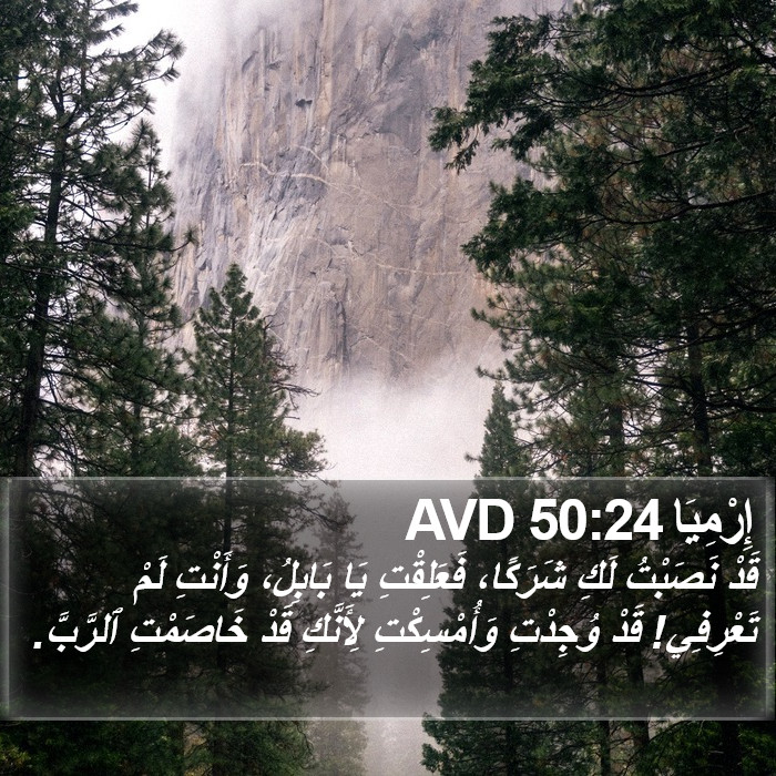 إِرْمِيَا 50:24 AVD Bible Study