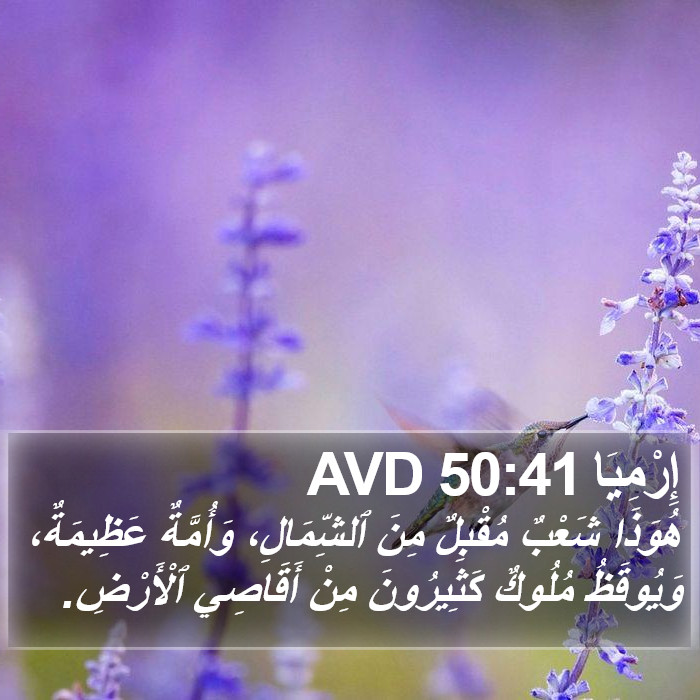 إِرْمِيَا 50:41 AVD Bible Study