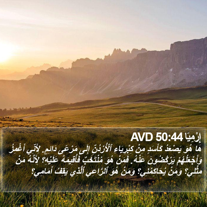 إِرْمِيَا 50:44 AVD Bible Study