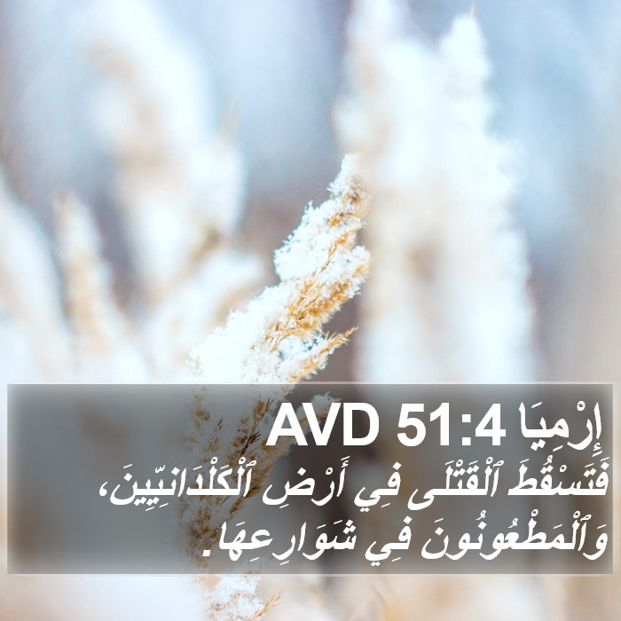 إِرْمِيَا 51:4 AVD Bible Study