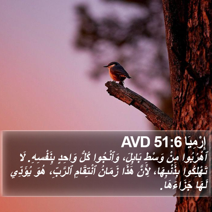 إِرْمِيَا 51:6 AVD Bible Study
