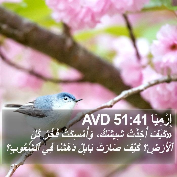 إِرْمِيَا 51:41 AVD Bible Study