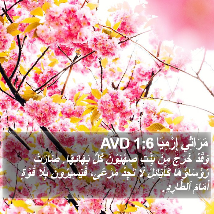 مَرَاثِي إِرْمِيَا 1:6 AVD Bible Study