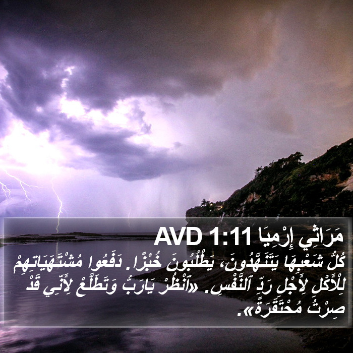 مَرَاثِي إِرْمِيَا 1:11 AVD Bible Study