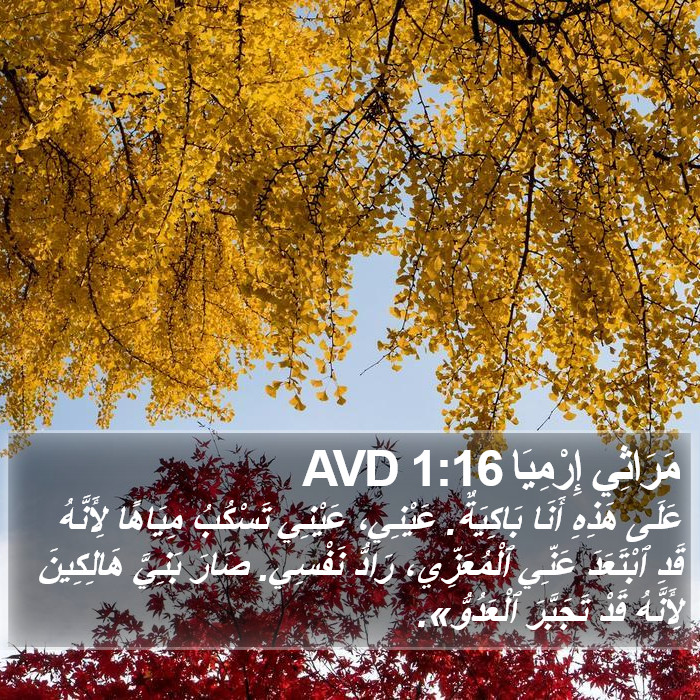 مَرَاثِي إِرْمِيَا 1:16 AVD Bible Study