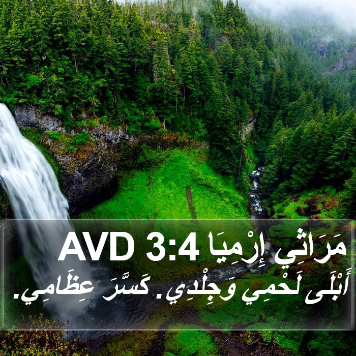 مَرَاثِي إِرْمِيَا 3:4 AVD Bible Study