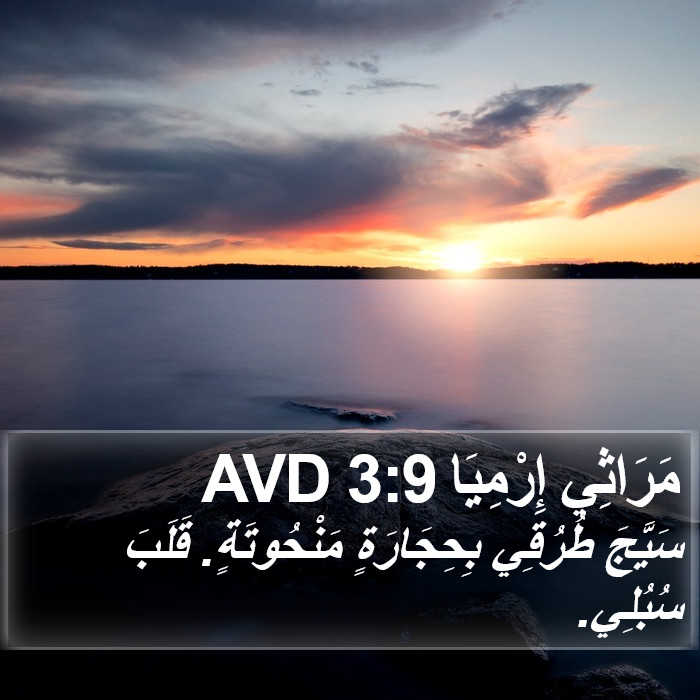 مَرَاثِي إِرْمِيَا 3:9 AVD Bible Study