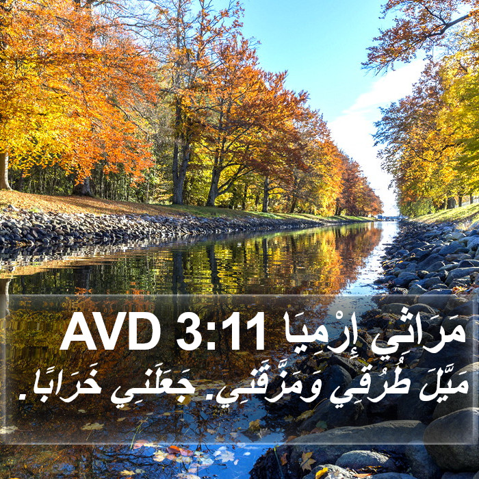 مَرَاثِي إِرْمِيَا 3:11 AVD Bible Study