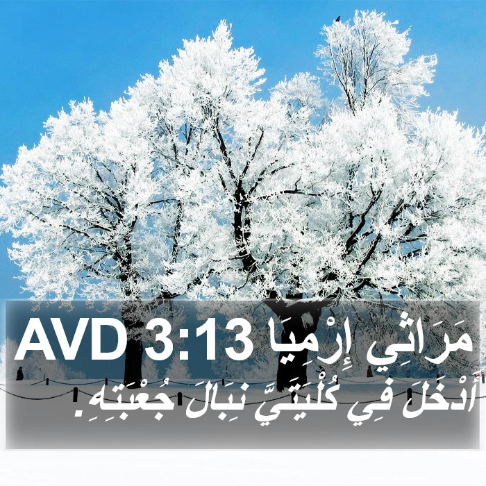 مَرَاثِي إِرْمِيَا 3:13 AVD Bible Study