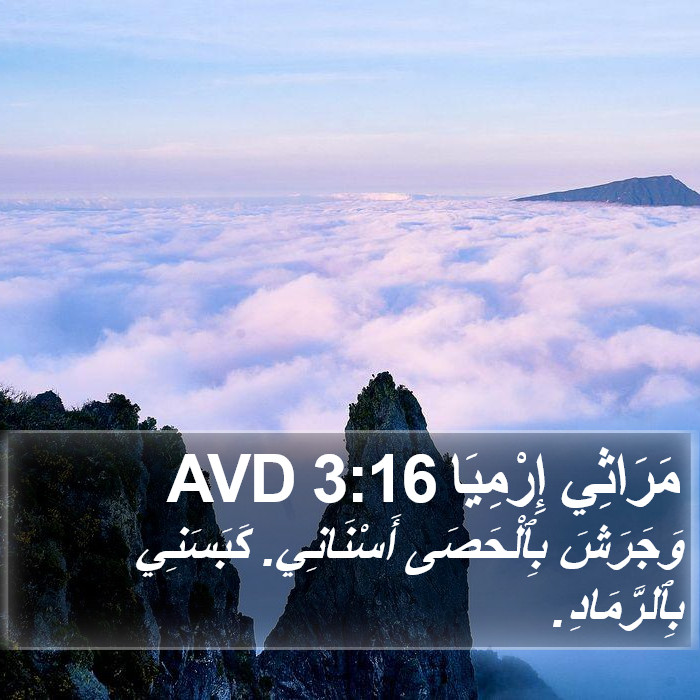 مَرَاثِي إِرْمِيَا 3:16 AVD Bible Study