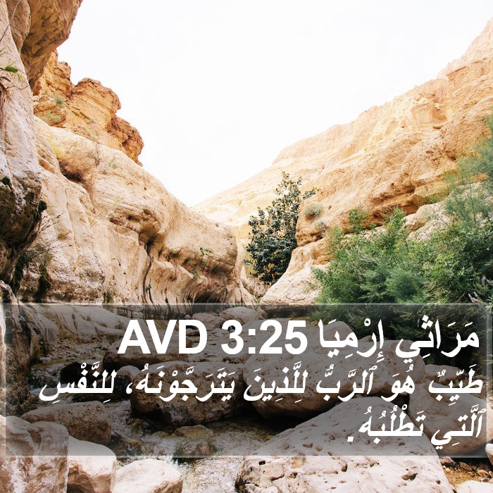 مَرَاثِي إِرْمِيَا 3:25 AVD Bible Study