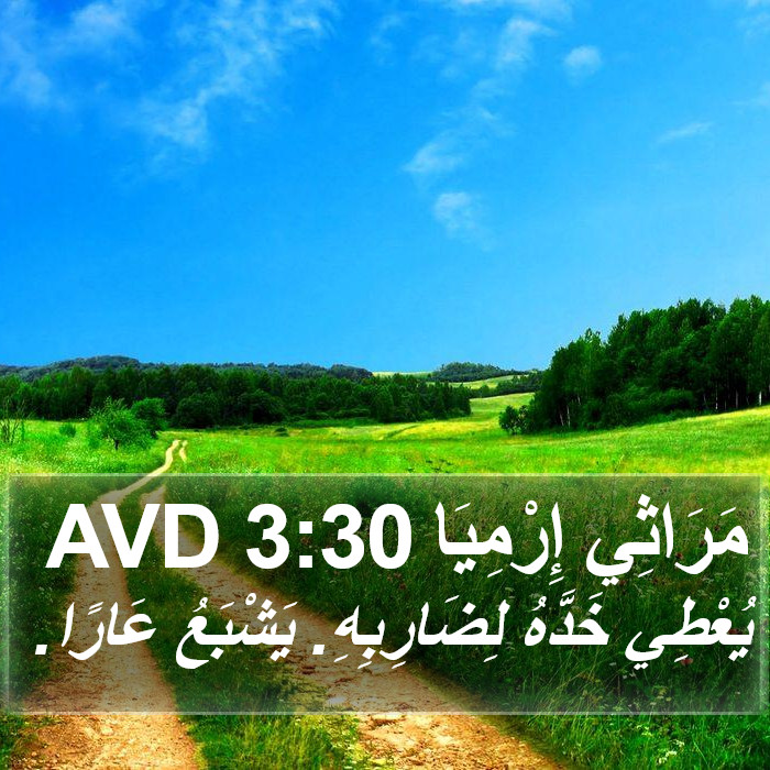 مَرَاثِي إِرْمِيَا 3:30 AVD Bible Study