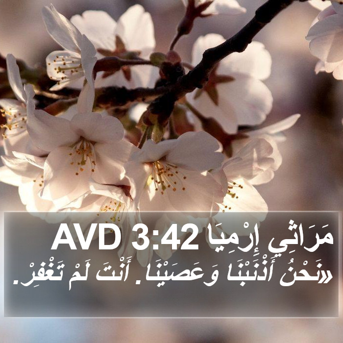 مَرَاثِي إِرْمِيَا 3:42 AVD Bible Study