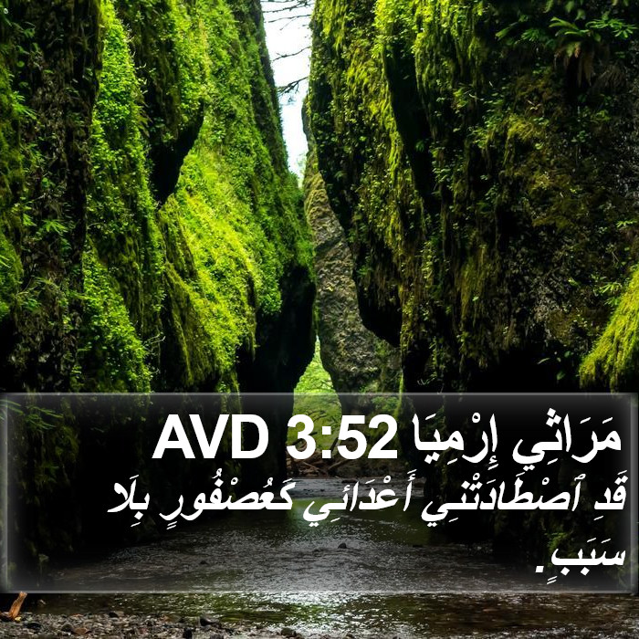 مَرَاثِي إِرْمِيَا 3:52 AVD Bible Study