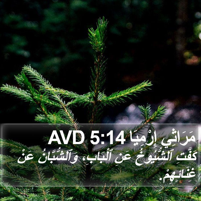 مَرَاثِي إِرْمِيَا 5:14 AVD Bible Study