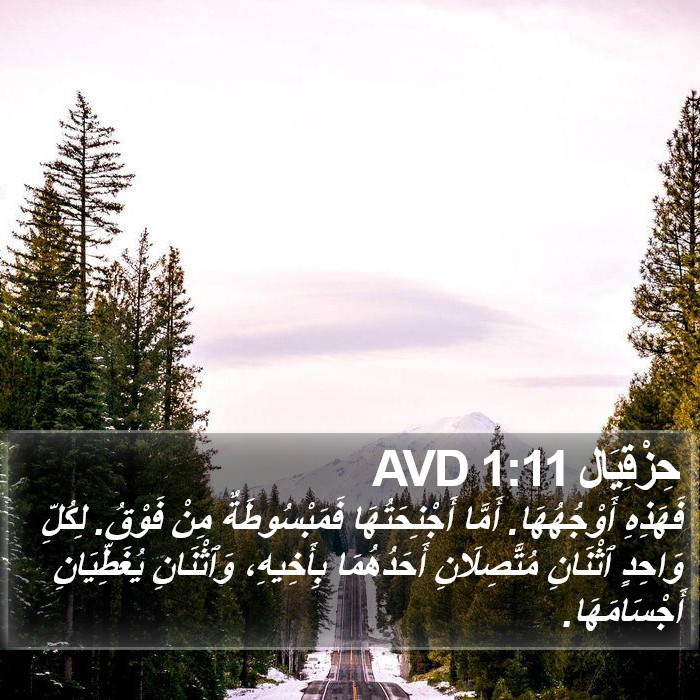 حِزْقِيَال 1:11 AVD Bible Study