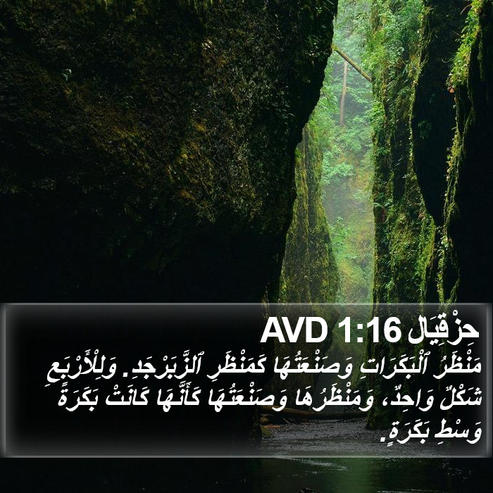 حِزْقِيَال 1:16 AVD Bible Study