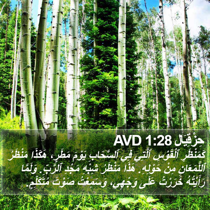 حِزْقِيَال 1:28 AVD Bible Study