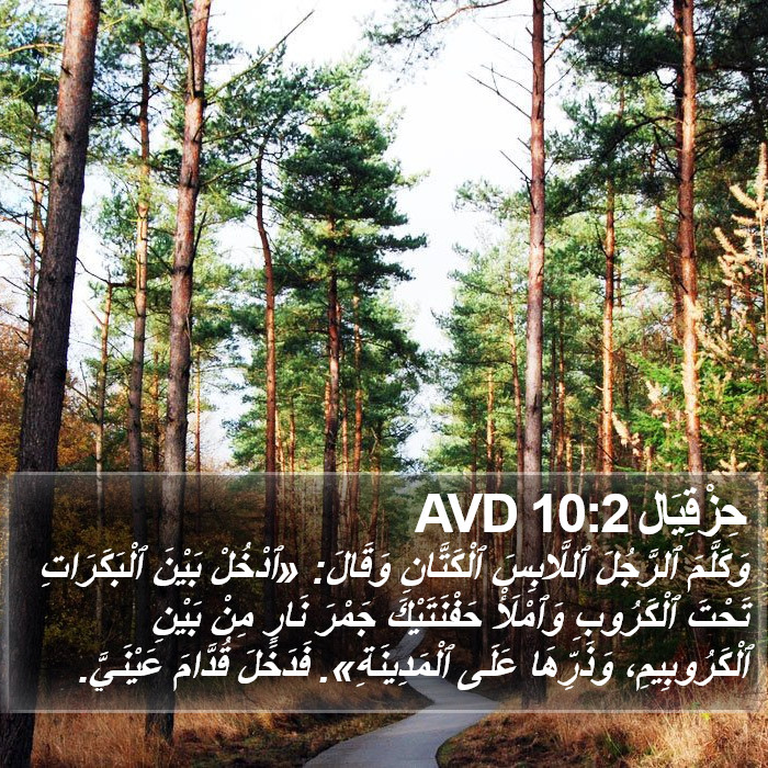 حِزْقِيَال 10:2 AVD Bible Study