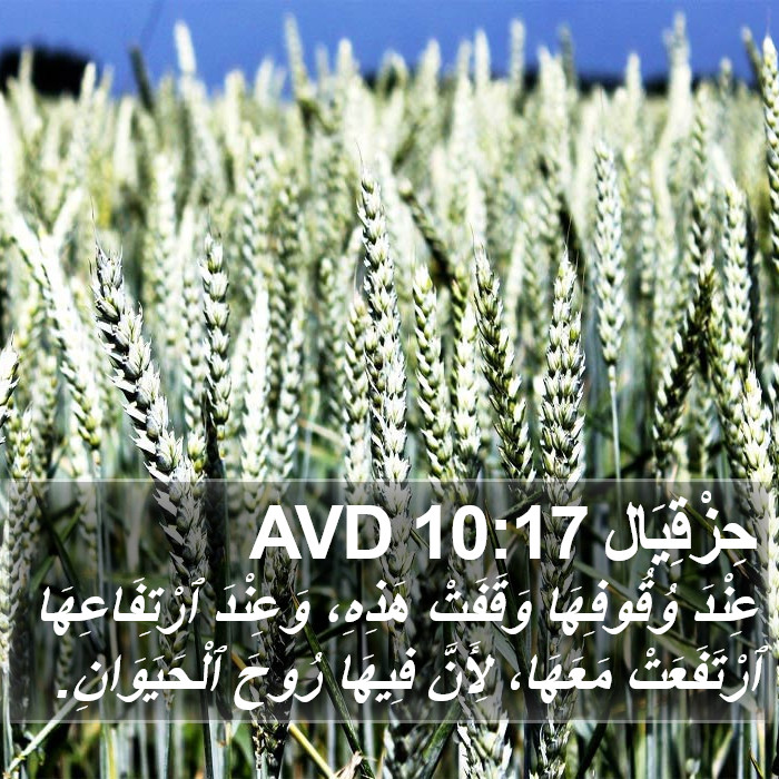 حِزْقِيَال 10:17 AVD Bible Study