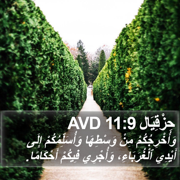 حِزْقِيَال 11:9 AVD Bible Study