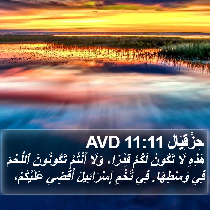 حِزْقِيَال 11:11 AVD Bible Study