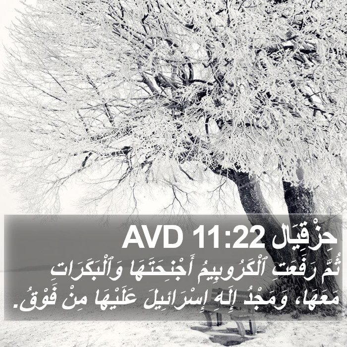 حِزْقِيَال 11:22 AVD Bible Study