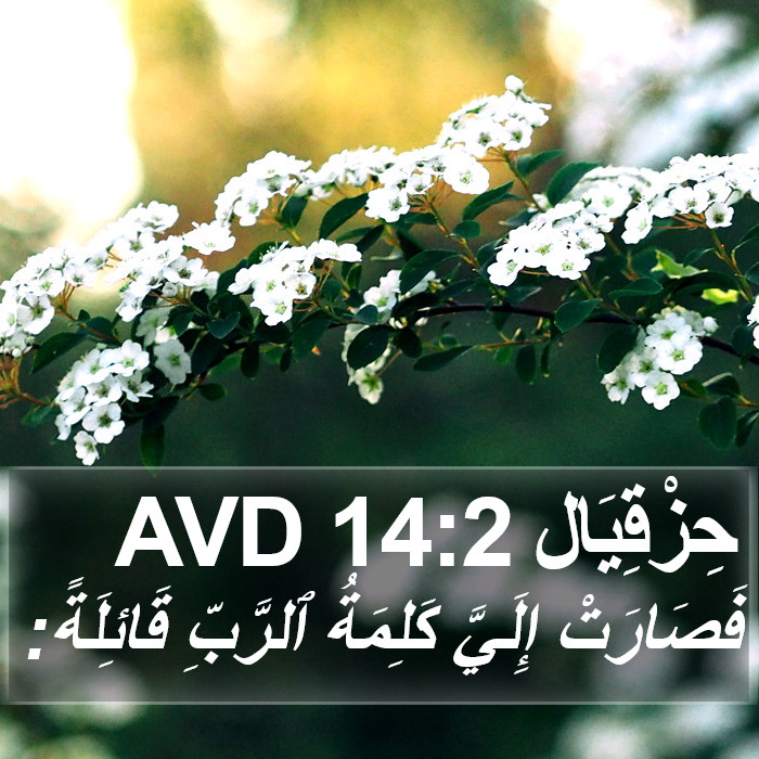 حِزْقِيَال 14:2 AVD Bible Study