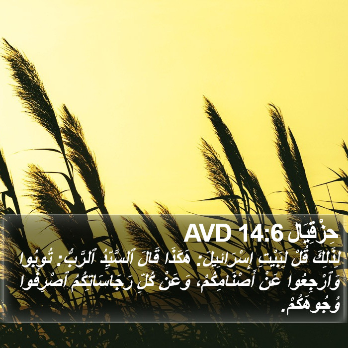 حِزْقِيَال 14:6 AVD Bible Study