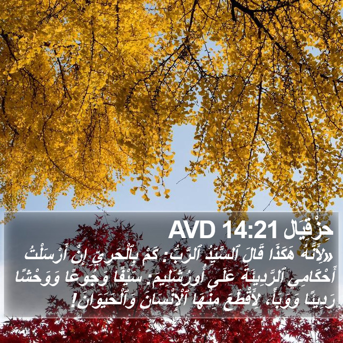 حِزْقِيَال 14:21 AVD Bible Study