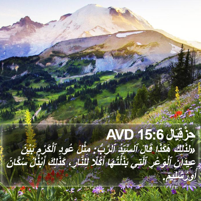 حِزْقِيَال 15:6 AVD Bible Study