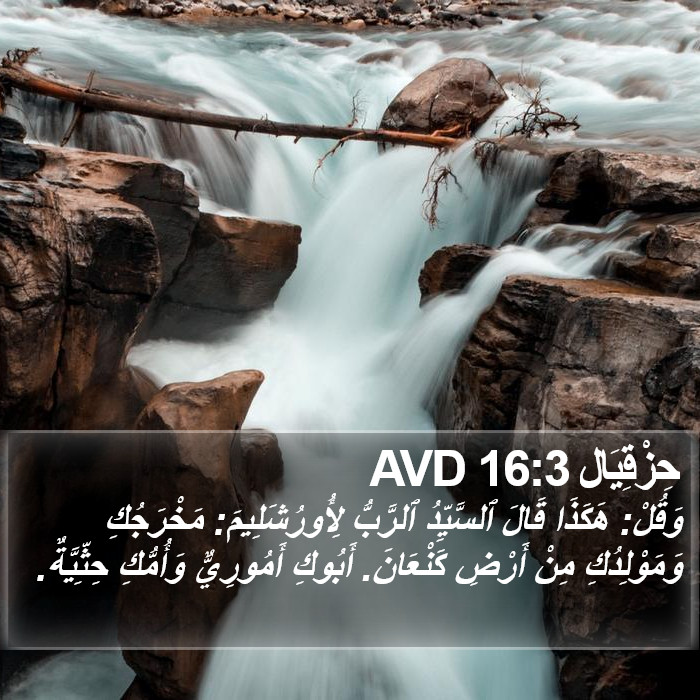حِزْقِيَال 16:3 AVD Bible Study