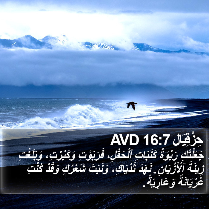 حِزْقِيَال 16:7 AVD Bible Study