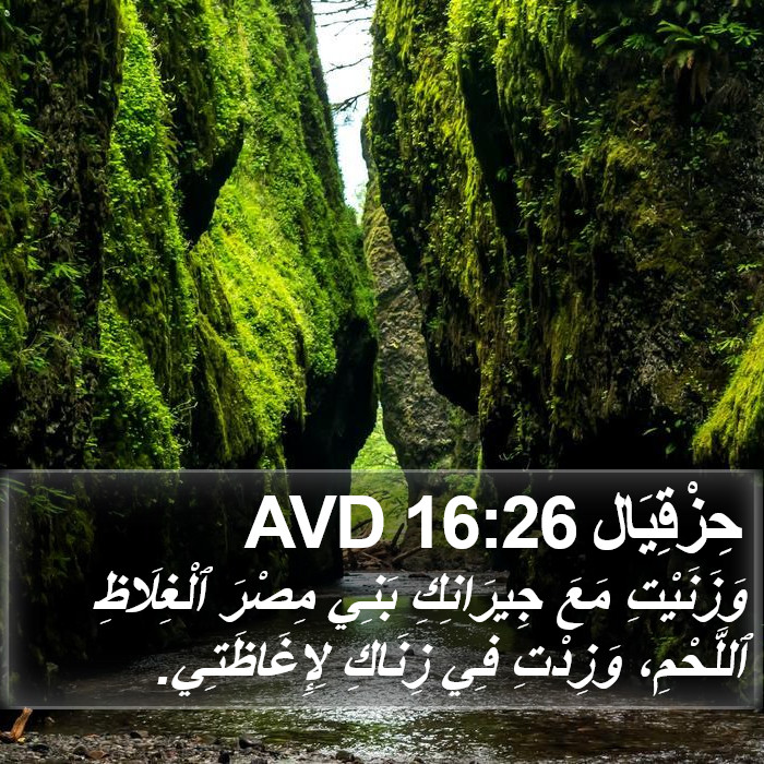 حِزْقِيَال 16:26 AVD Bible Study