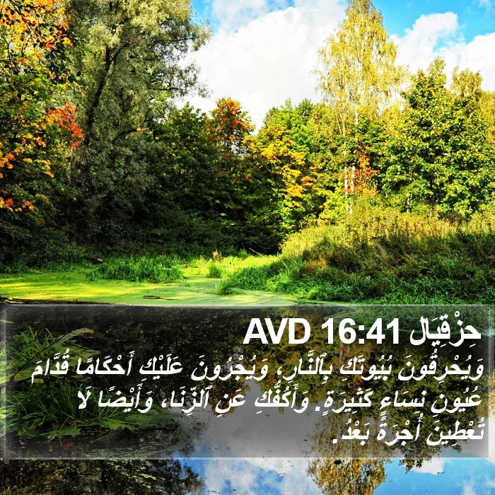 حِزْقِيَال 16:41 AVD Bible Study