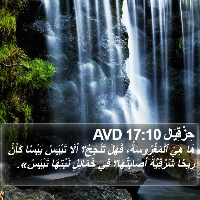 حِزْقِيَال 17:10 AVD Bible Study