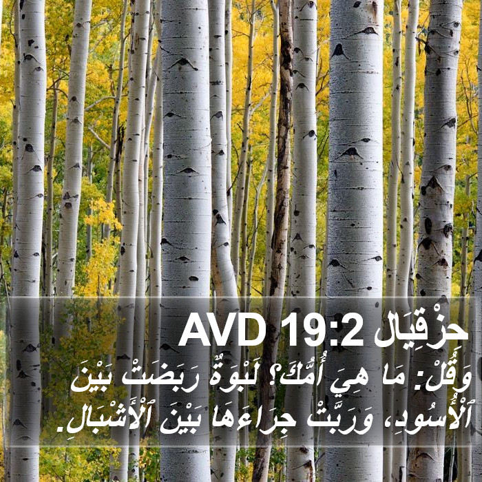 حِزْقِيَال 19:2 AVD Bible Study