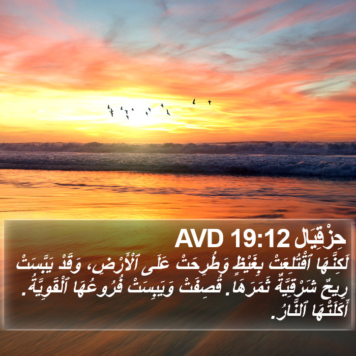 حِزْقِيَال 19:12 AVD Bible Study