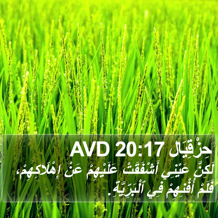 حِزْقِيَال 20:17 AVD Bible Study