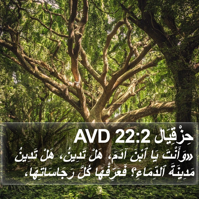 حِزْقِيَال 22:2 AVD Bible Study