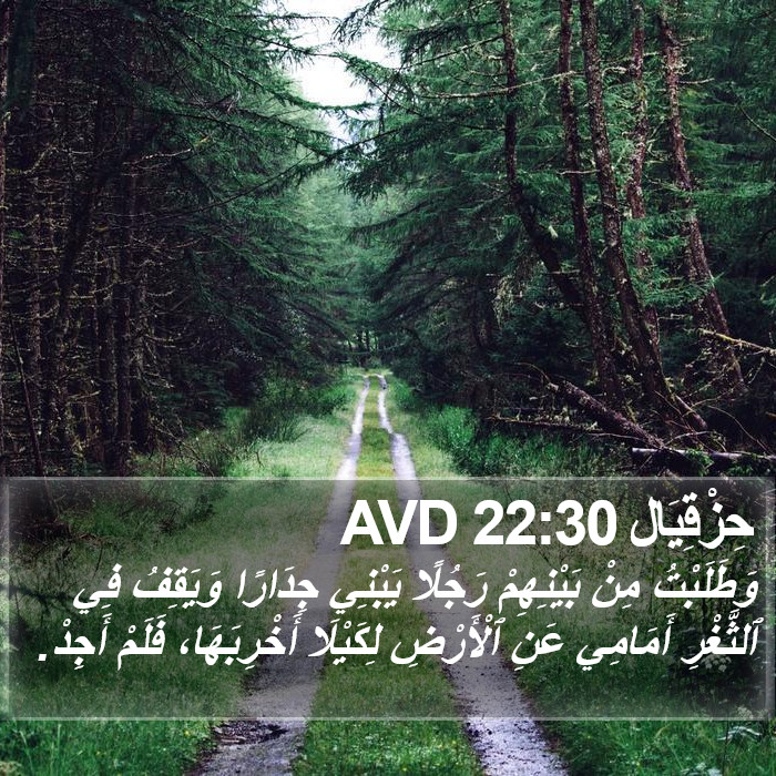 حِزْقِيَال 22:30 AVD Bible Study